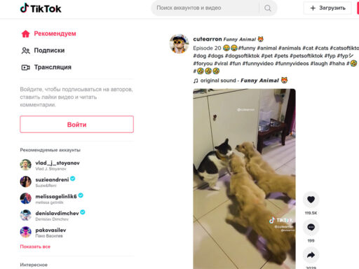 Tik Tok (Тик Ток)